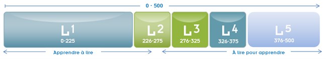French Level Scale